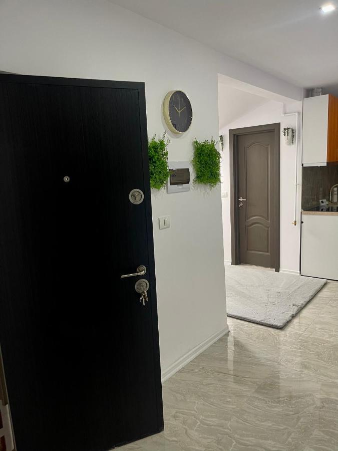 Cozy Apartament With 2Rooms Тимишоара Экстерьер фото